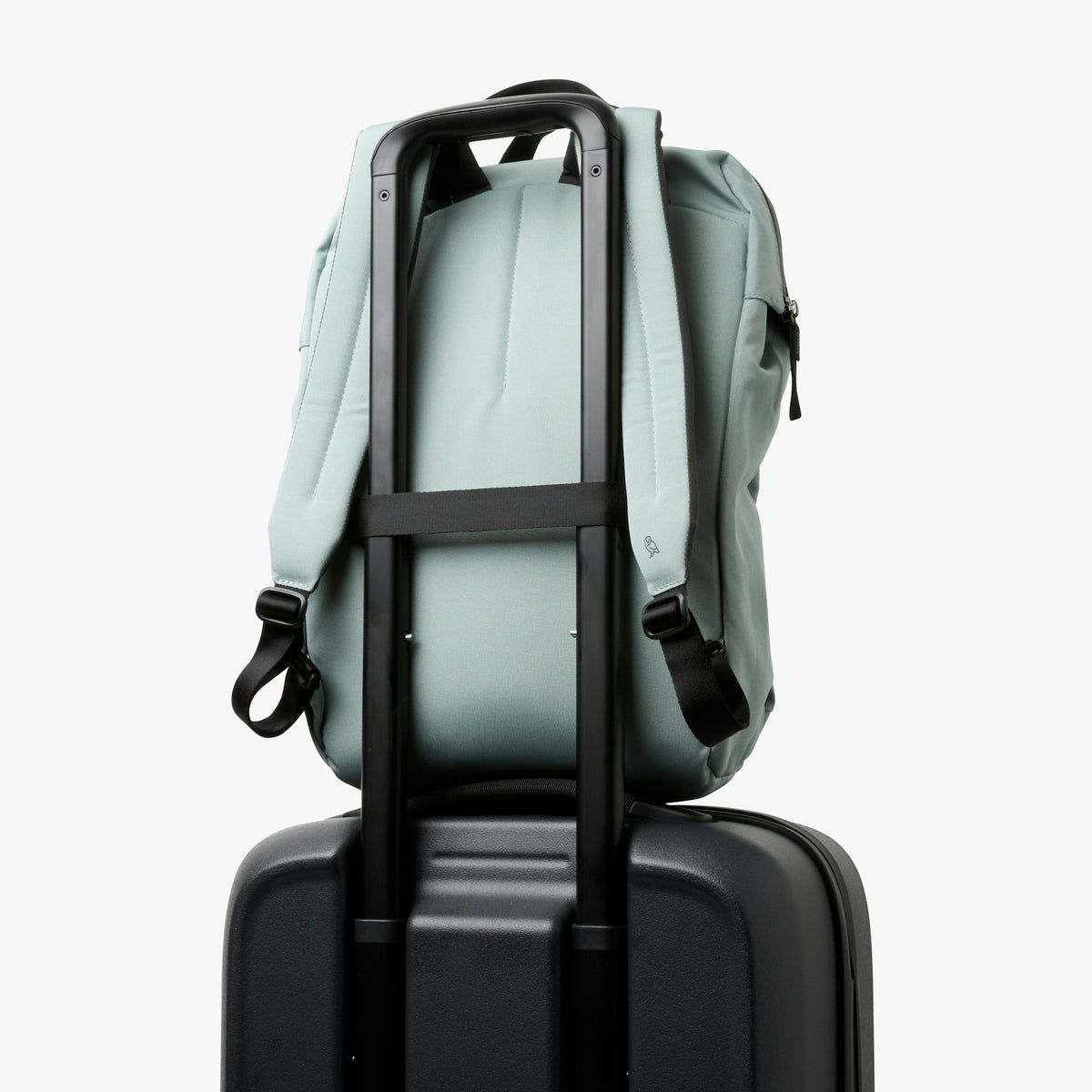Via Workpack - US 5572